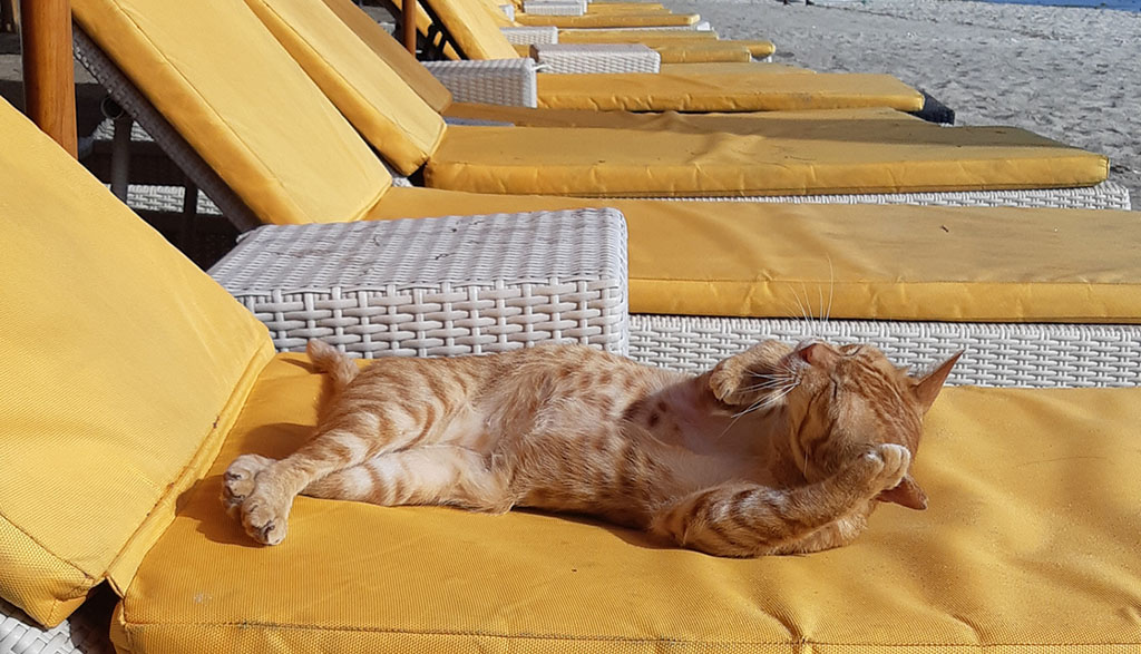 Diving gili islands heather sutton cat deck chair