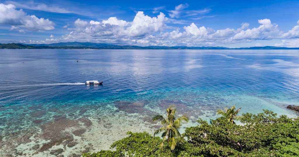 Diving north sulawesi murex divers bangka trip