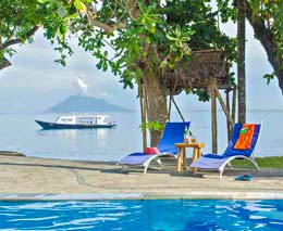 14 murex manado dive resort north sulawesi indonesia pool and dive boat feature