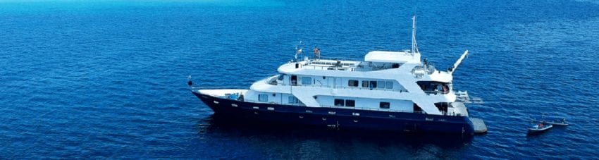 Infiniti liveaboard Philippines with three exciting itineraries in Malapascua & Leyte, Visayas & Bohol and Tubbataha Reef