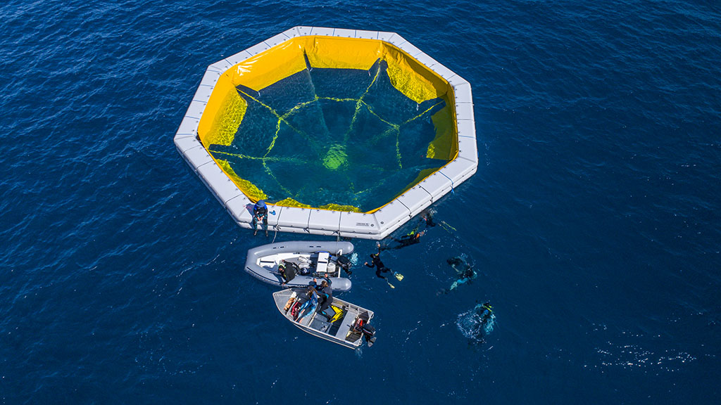 Great barrier reef coral larval restoration credit christian miller Great barrier reef coral larval restoration credit christian miller