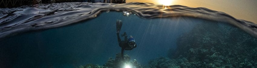 Sex on the reef: science and tourism join forces to save the great barrier reef