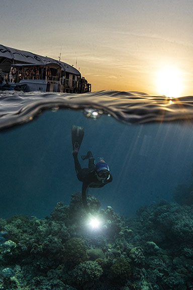 This year\'s coral spawning event on the Great Barrier Reef Coral spawning event has inspired a new collaboration, as scientists & tourism operators join forces.