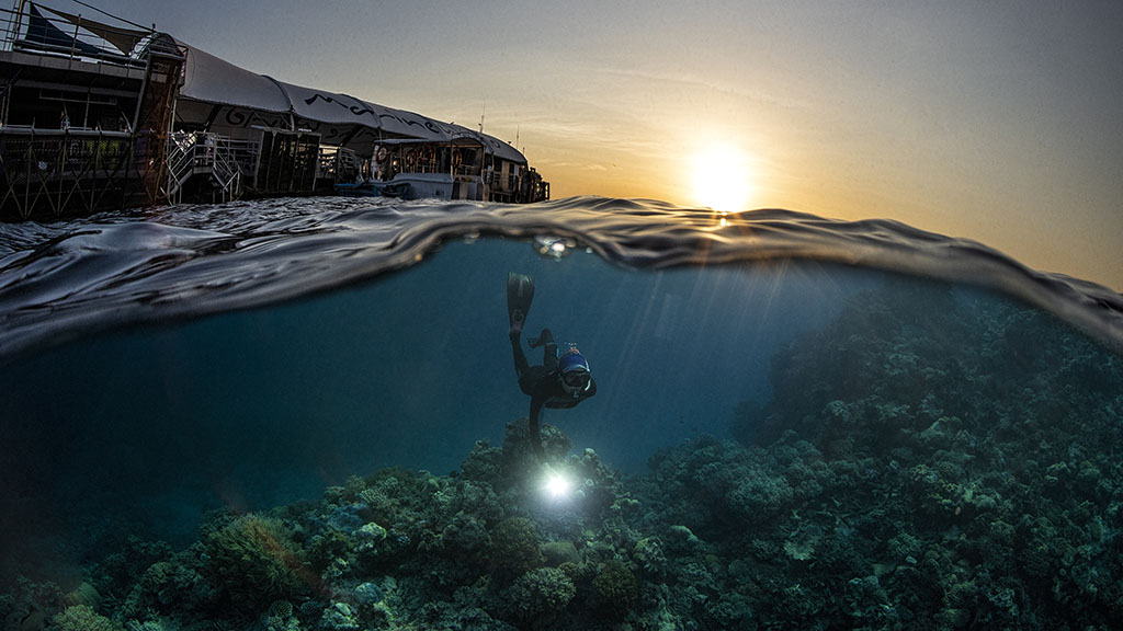 Great barrier reef coral larval restoration kate chartrand credit christian miller