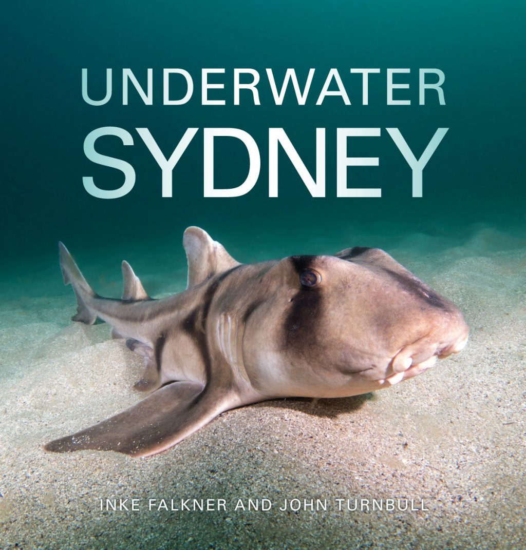 Underwater sydney book