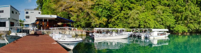 Fish ’n Fins Palau includes Fish ’n Fins PADI 5 Star IDC & Diving Center and the Ocean Hunter Liveaboards together offering some of the best diving in Palau