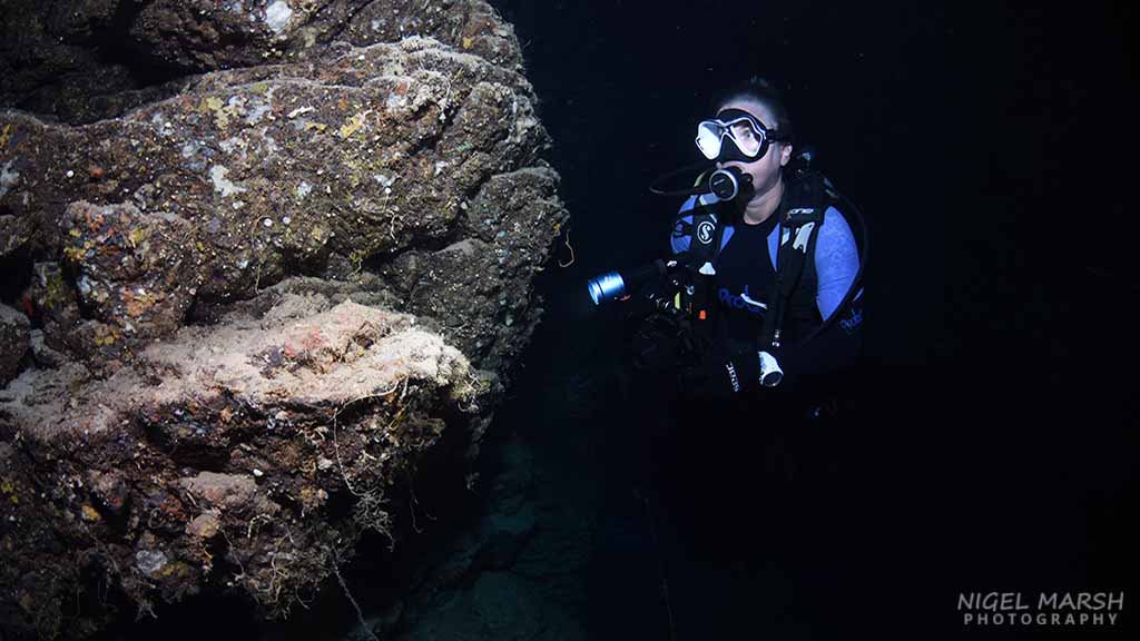 Why munda is the south pacific’s most popular dive site