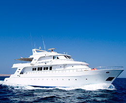 M/Y Miss Nouran liveaboard is part of the Sea Serpent Liveaboard Fleet diving all the best dive sites in the Red Sea
