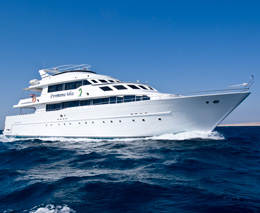 M/Y Contessa Mia liveaboard is part of the Sea Serpent Liveaboard Fleet diving all the best dive sites in the Red Sea
