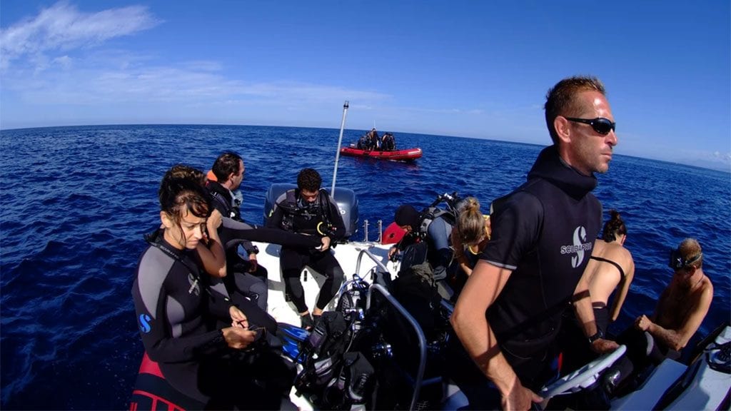 Diving new caledonia noumea abyss plongee diving club dive boats