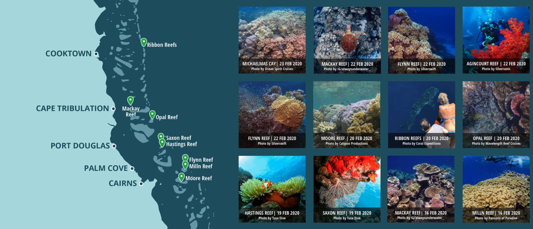 A photographic map showcasing daily underwater vision of the Great Barrier Reef has been launched with images, taken daily by divers and tour operators.