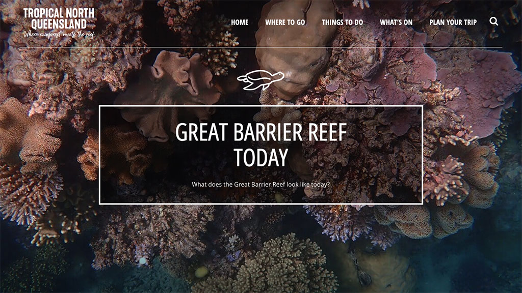 A photographic map showcasing daily underwater vision of the Great Barrier Reef has been launched with images, taken daily by divers and tour operators.