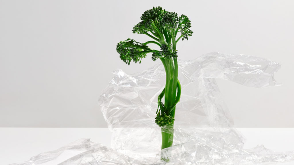 1 plastic free july go nude broccoli