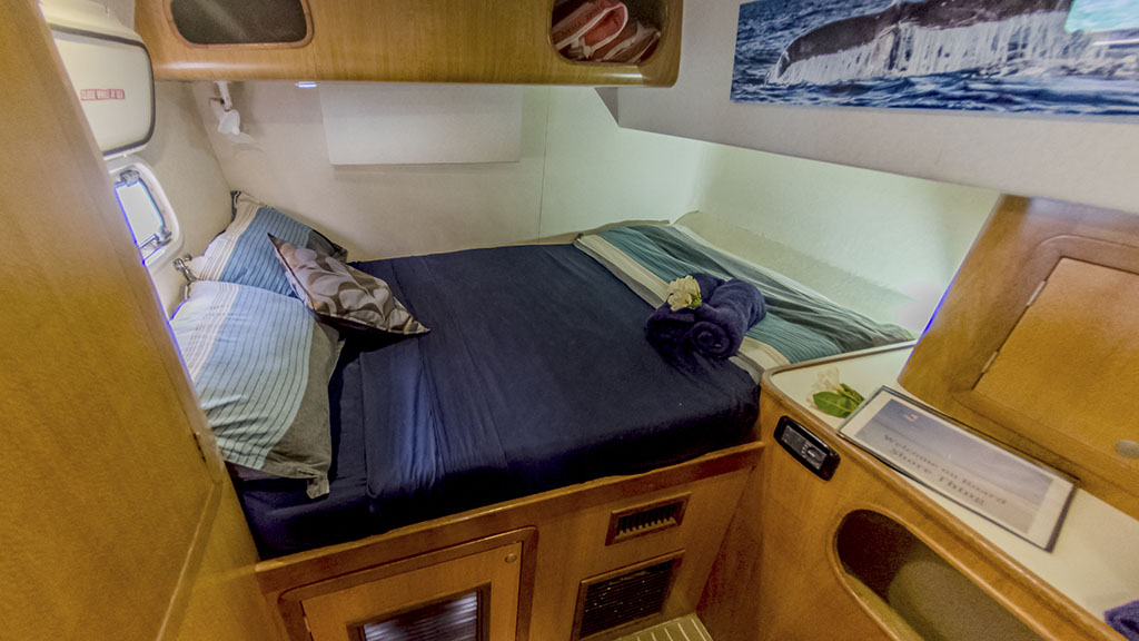3 Sail Ningaloo | Ningaloo Liveaboard Australia Shore Thing Deluxe Cabin Starboard The only Ningaloo Liveaboard is Sail Ningaloo, departing weekly from Coral Bay, and diving remote pristine coral reefs of the Ningaloo Reef and Muiron Islands not visited by day boats.