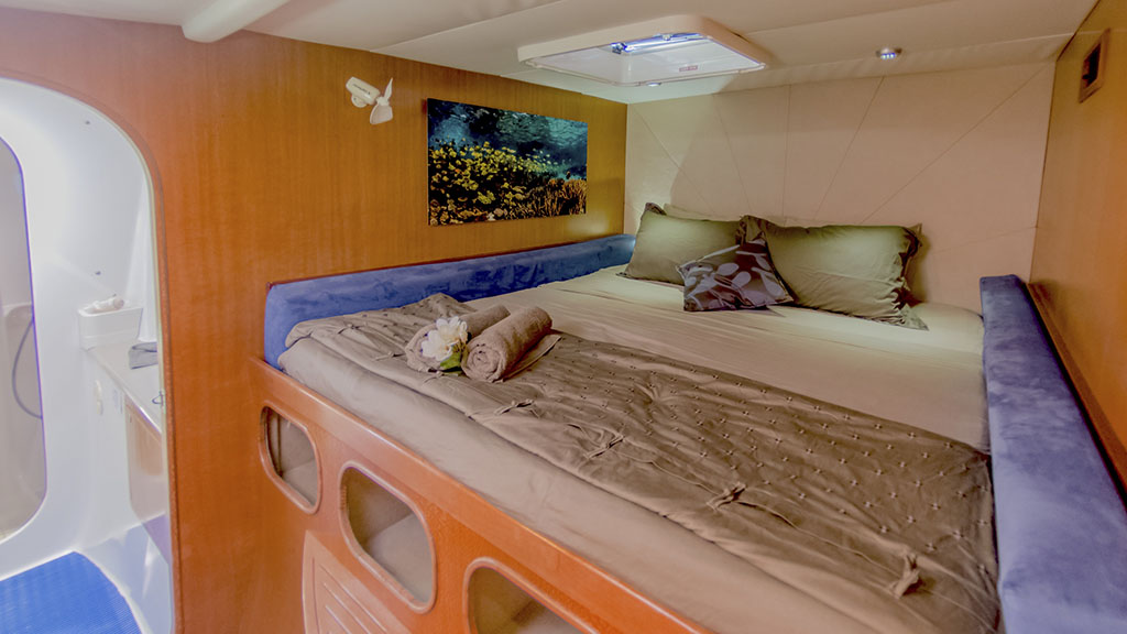 4 Sail Ningaloo | Ningaloo Liveaboard Australia Shore Thing Stateroom Cabin The only Ningaloo Liveaboard is Sail Ningaloo, departing weekly from Coral Bay, and diving remote pristine coral reefs of the Ningaloo Reef and Muiron Islands not visited by day boats.