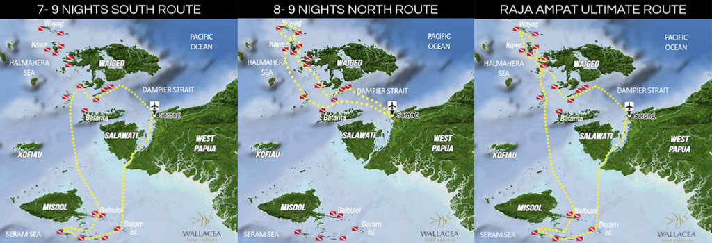 Ambai operates 11-night itineraries alternatively Denpasar (Bali)-Labuan Bajo and reverse, and 9-night itineraries form Bima (Sumbawa) to Labuan Bajo