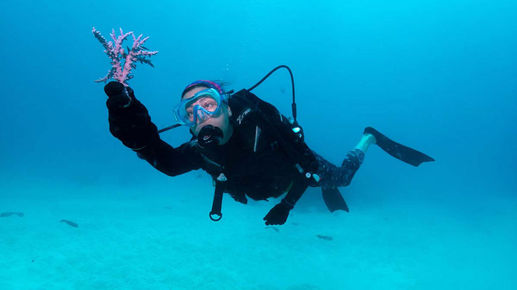 Diveplanit's Deborah Dickson-Smith becomes the first citizen scientist to participate in coral gardening diving the Museum of Underwater Art. 