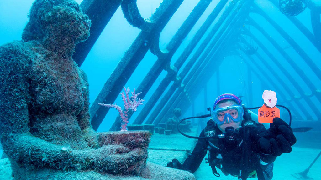 Diveplanit's Deborah Dickson-Smith becomes the first citizen scientist to participate in coral gardening diving the Museum of Underwater Art. 