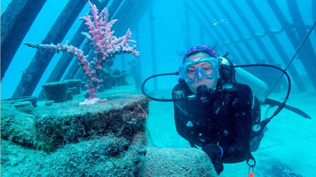 Diveplanit's Deborah Dickson-Smith becomes the first citizen scientist to participate in coral gardening diving the Museum of Underwater Art. 