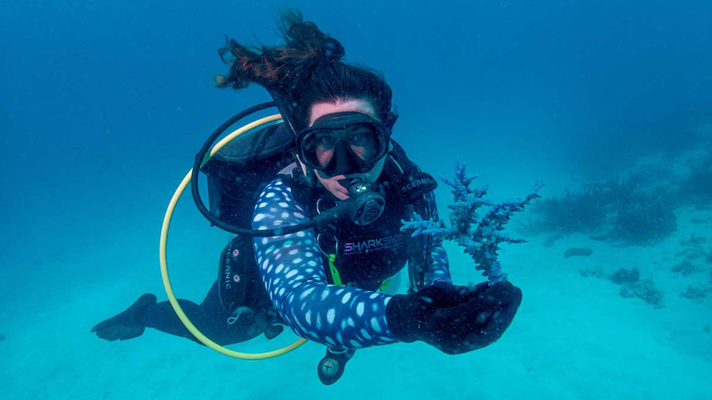 Diveplanit's Deborah Dickson-Smith becomes the first citizen scientist to participate in coral gardening diving the Museum of Underwater Art. 