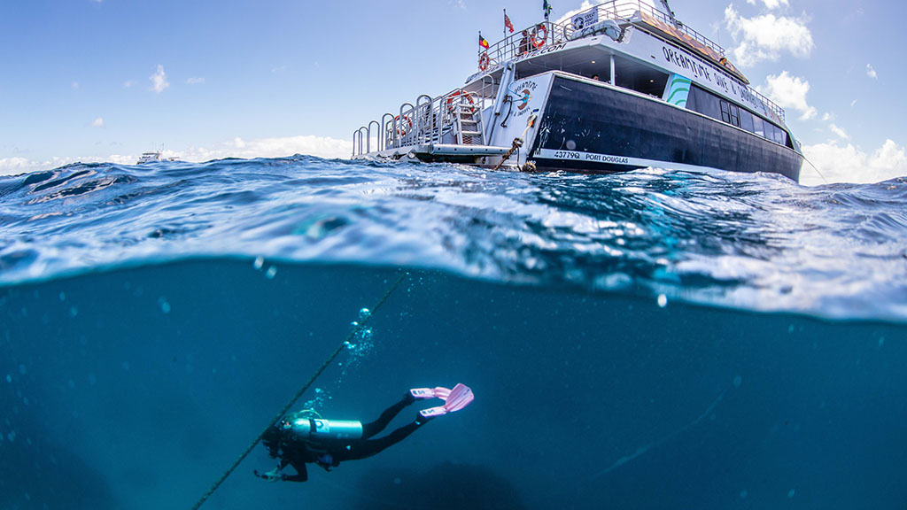 The Great Reef Census launched across the Great Barrier Reef this month, with boats deployed across its 2,300km length. And here's how you can take part.