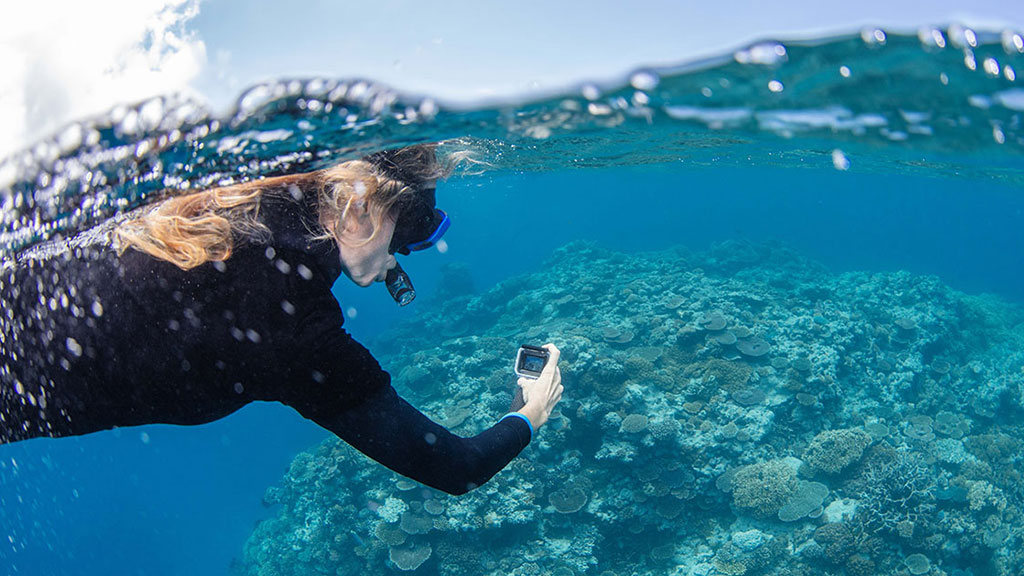 8 dives sites you should add to your Great Barrier Reef Bucket List, selected by the experts: Master Reef Guides in Cairns and Port Douglas.