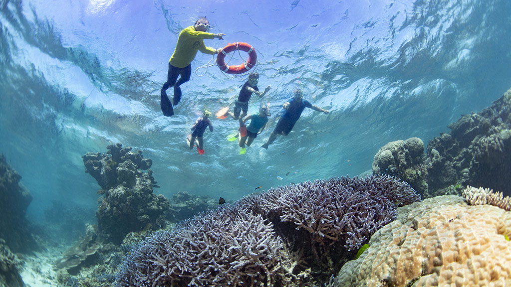 Here are 10 ways that travellers can help nurture the Great Barrier Reef, both from the comfort of home, and the next time you travel to the reef.