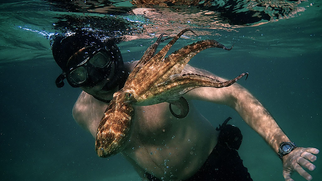 1- My Octopus Teacher | Can you make friends with an Octopus? - Credit Netflix Cephalopod lovers around the world celebrate the Oscar win for My Octopus Teacher. But can you make friends with an octopus? Dr Callum Brown explains.