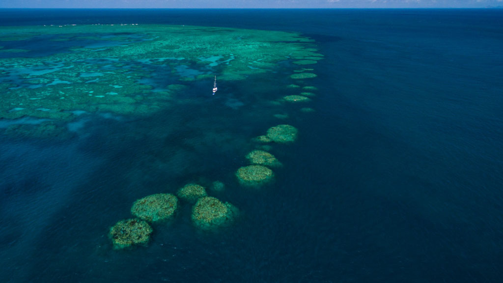 There are many things you can do to mitigate climate change, the biggest threat to the Great Barrier Reef, & here are a few ways to help the Reef directly.