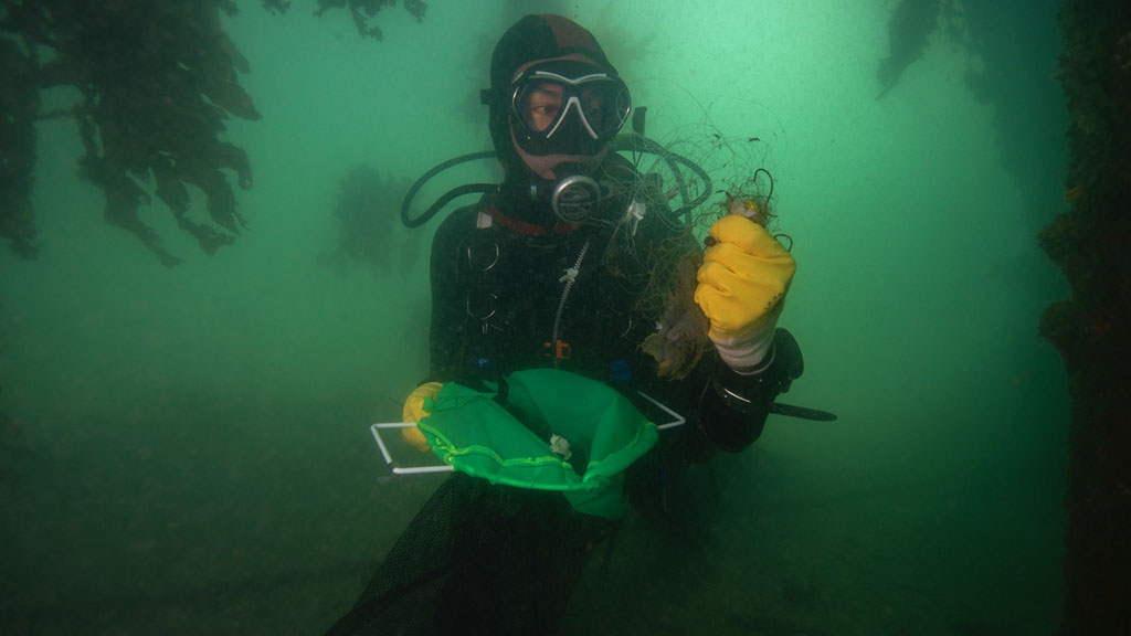 A clean-up like no other at Sydney's Chowder Bay, with support from the Tourism Authority of Thailand and the Royal Thai Consulate in Sydney.