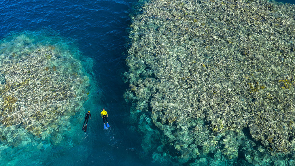 Here are 10 ways that travellers can help nurture the Great Barrier Reef, both from the comfort of home, and the next time you travel to the reef.