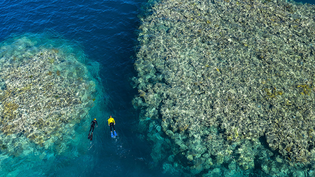 10 ways to help conserve and protect the Great Barrier Reef