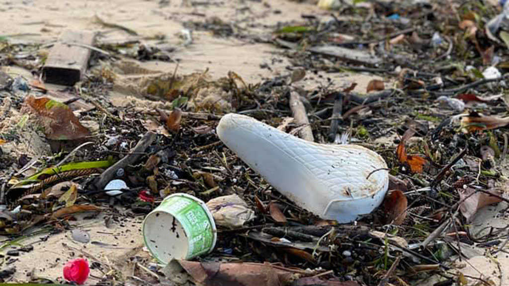 Last week Diveplanit joined forces with the Underwater Research Group of NSW to take part in the CEO Beach Clean-Up organised by Take 3 for the Sea.