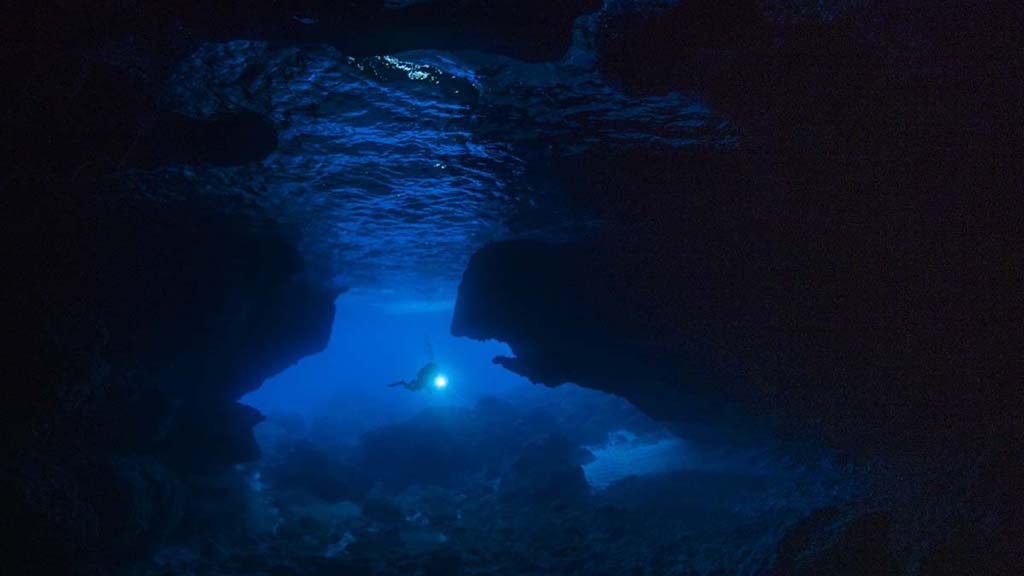 5 Diving Christmas Island | Our Top 10 Best Dives on Christmas Island Diving Christmas Island, you’ll see colourful coral, sea caverns, sharks, mantas, dolphins and whale sharks. Our Top 10 favourite dives on the island.