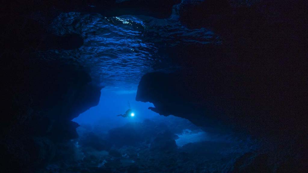 Diving Christmas Island, you’ll see colourful coral, sea caverns, sharks, mantas, dolphins and whale sharks. Our Top 10 favourite dives on the island.