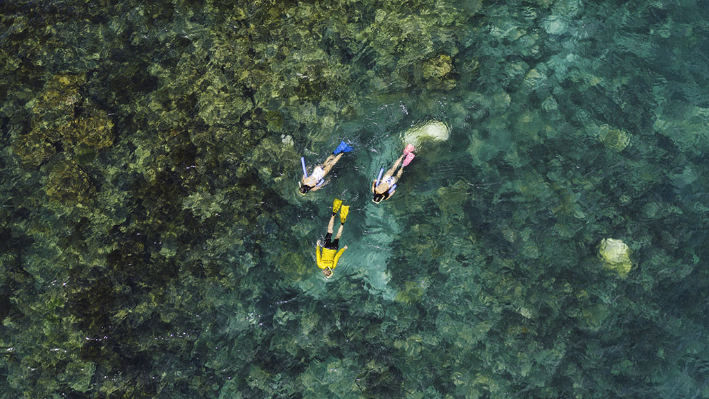 Here are 10 ways that travellers can help nurture the Great Barrier Reef, both from the comfort of home, and the next time you travel to the reef.