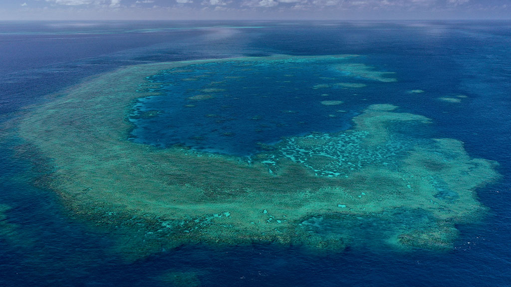 Johnny Gaskell has visited over 200 reef sites on the Great Barrier Reef over and has come with a top 10 bucket list of lesser-known reefs.