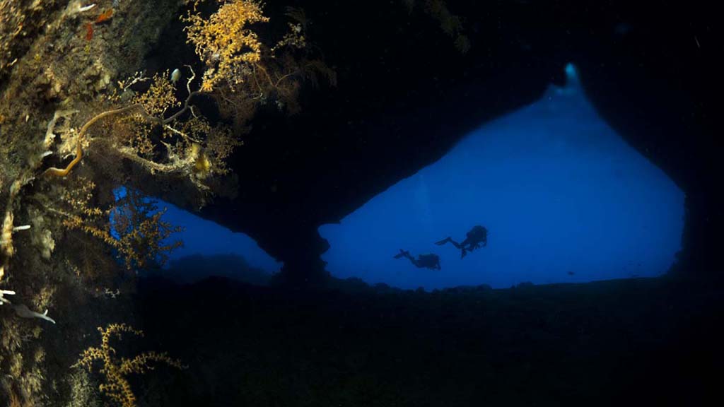 Diving Christmas Island, you’ll see colourful coral, sea caverns, sharks, mantas, dolphins and whale sharks. Our Top 10 favourite dives on the island.