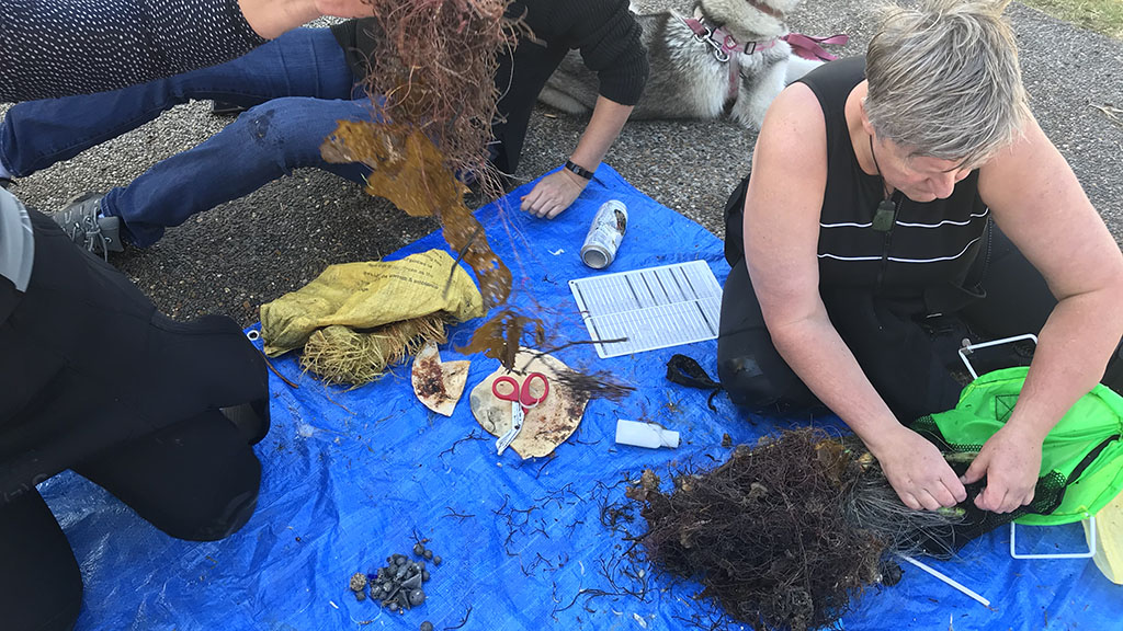 A clean-up like no other at Sydney's Chowder Bay, with support from the Tourism Authority of Thailand and the Royal Thai Consulate in Sydney.