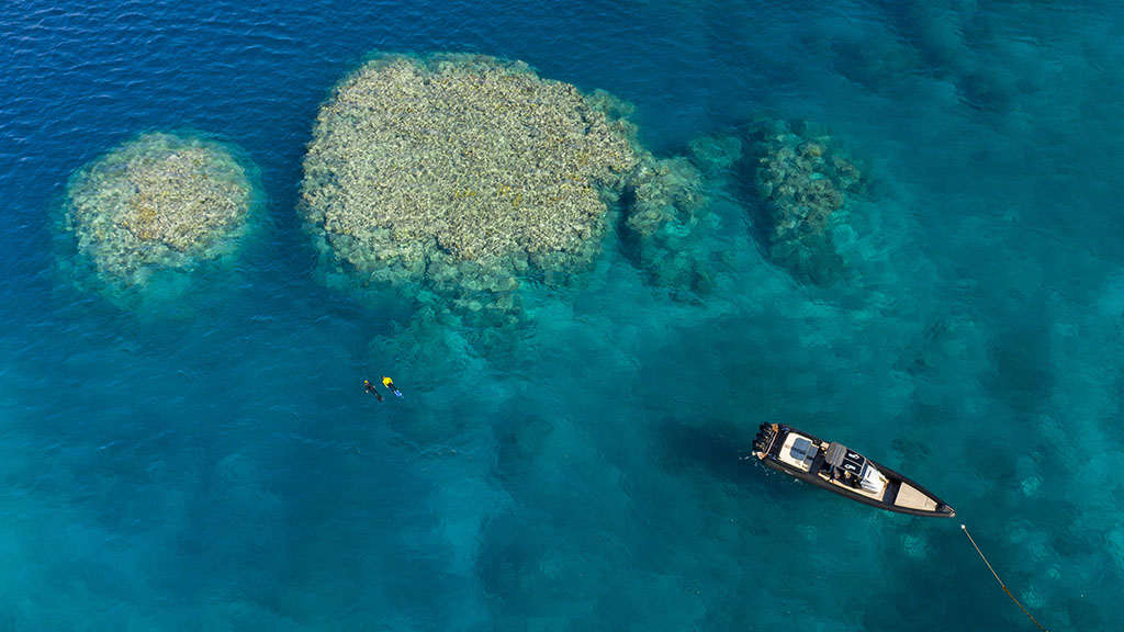 Here are 10 ways that travellers can help nurture the Great Barrier Reef, both from the comfort of home, and the next time you travel to the reef.