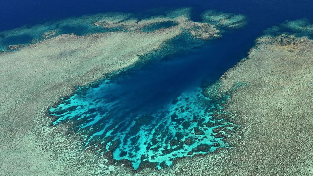 Johnny Gaskell has visited over 200 reef sites on the Great Barrier Reef over and has come with a top 10 bucket list of lesser-known reefs.