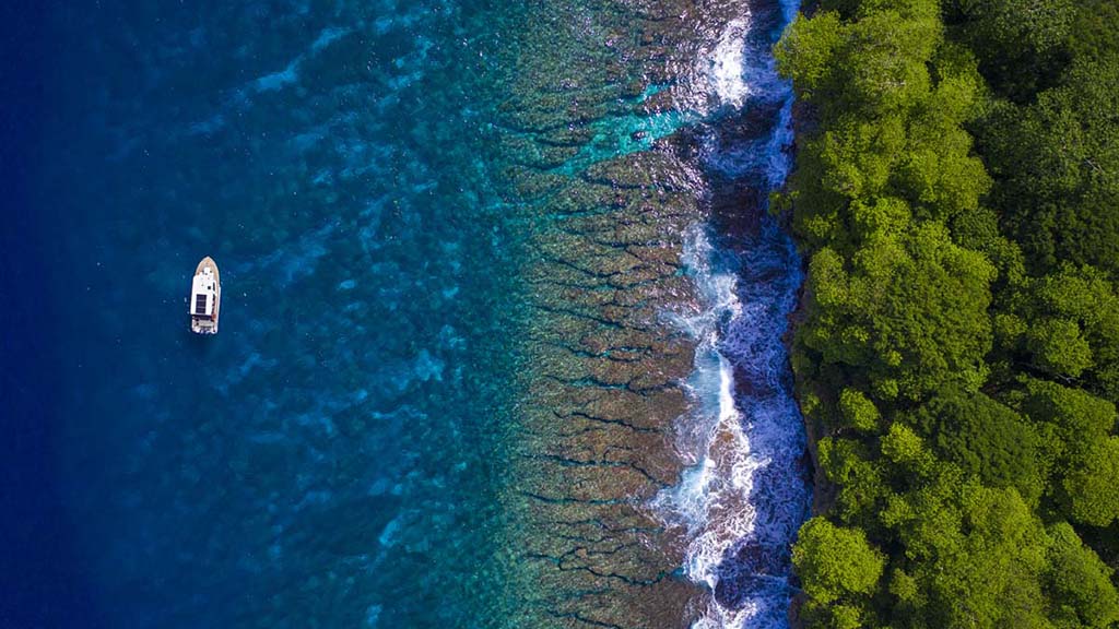 Diving Christmas Island, you’ll see colourful coral, sea caverns, sharks, mantas, dolphins and whale sharks. Our Top 10 favourite dives on the island.