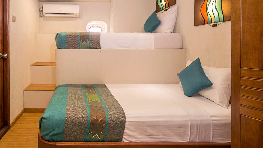 Two standard cabins each have a twin bed and bunk bed and can only take twin sharing occupancy