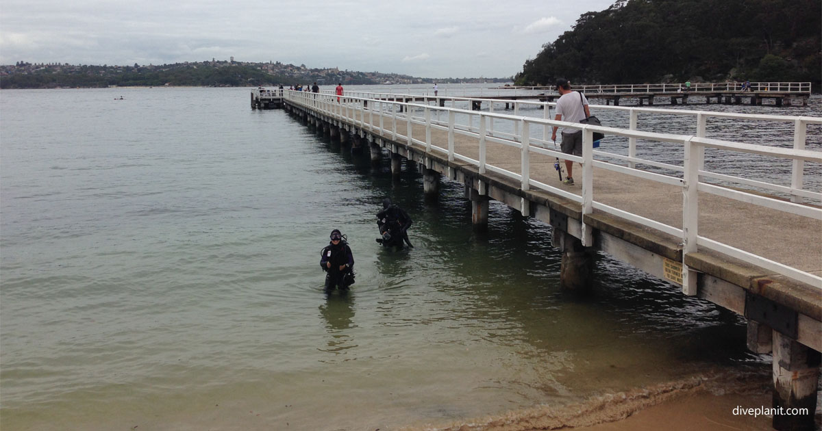 Chowder Bay dive site, Clifton Gardens, Sydney NSW