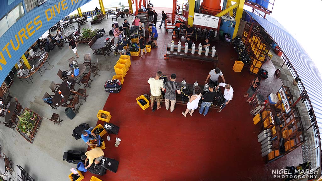 How much should I tip? A guide to tipping on your dive holiday