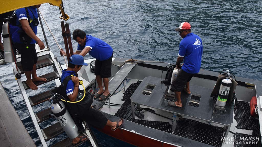 How much should I tip? A guide to tipping on your dive holiday