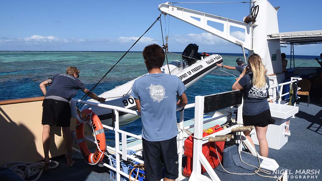 How much should I tip? A guide to tipping on your dive holiday