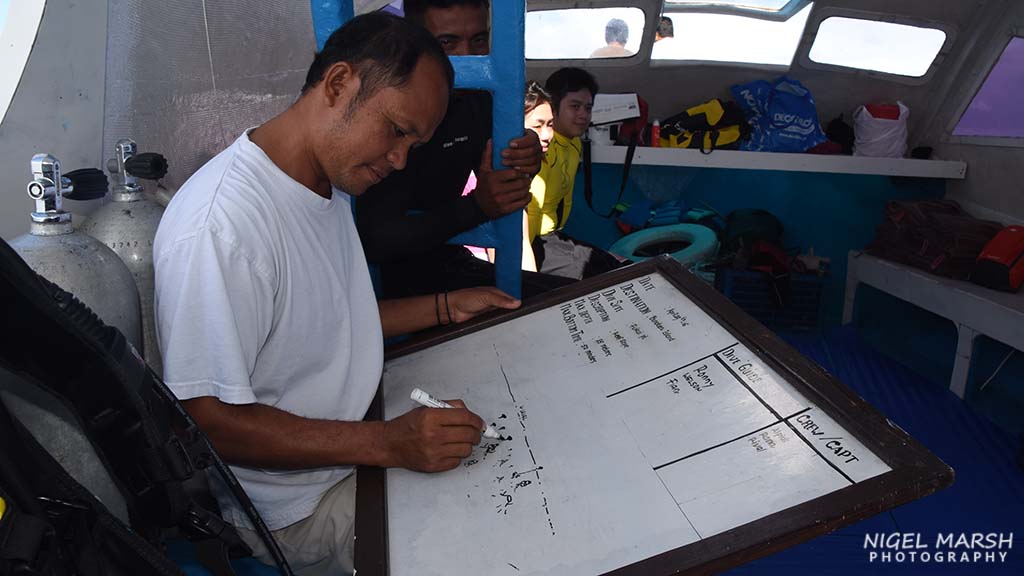 How much should I tip? A guide to tipping on your dive holiday