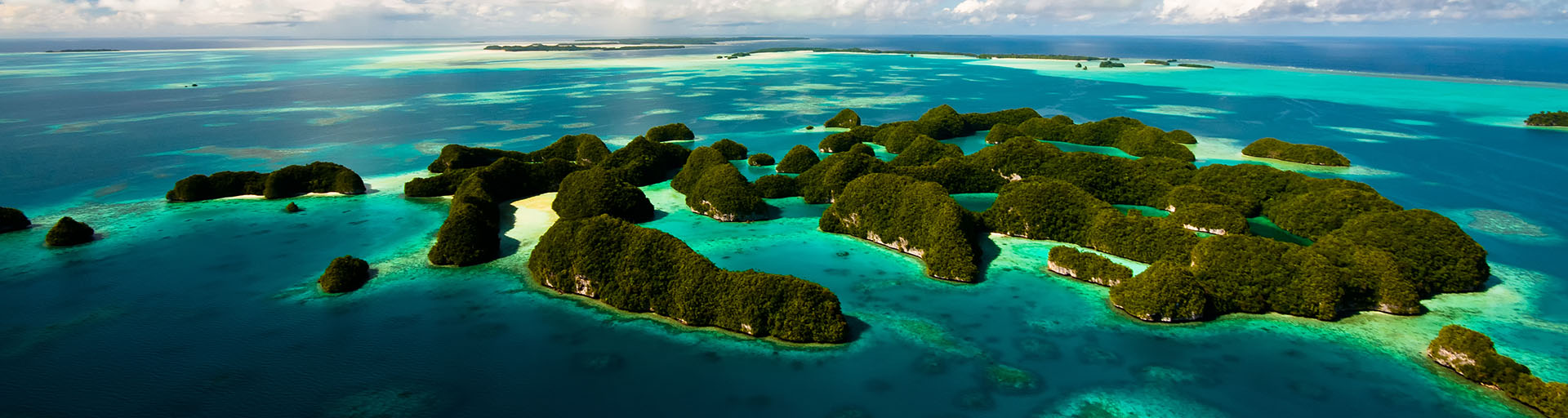 Five BIG Reasons to dive Palau Palau's best dive sites